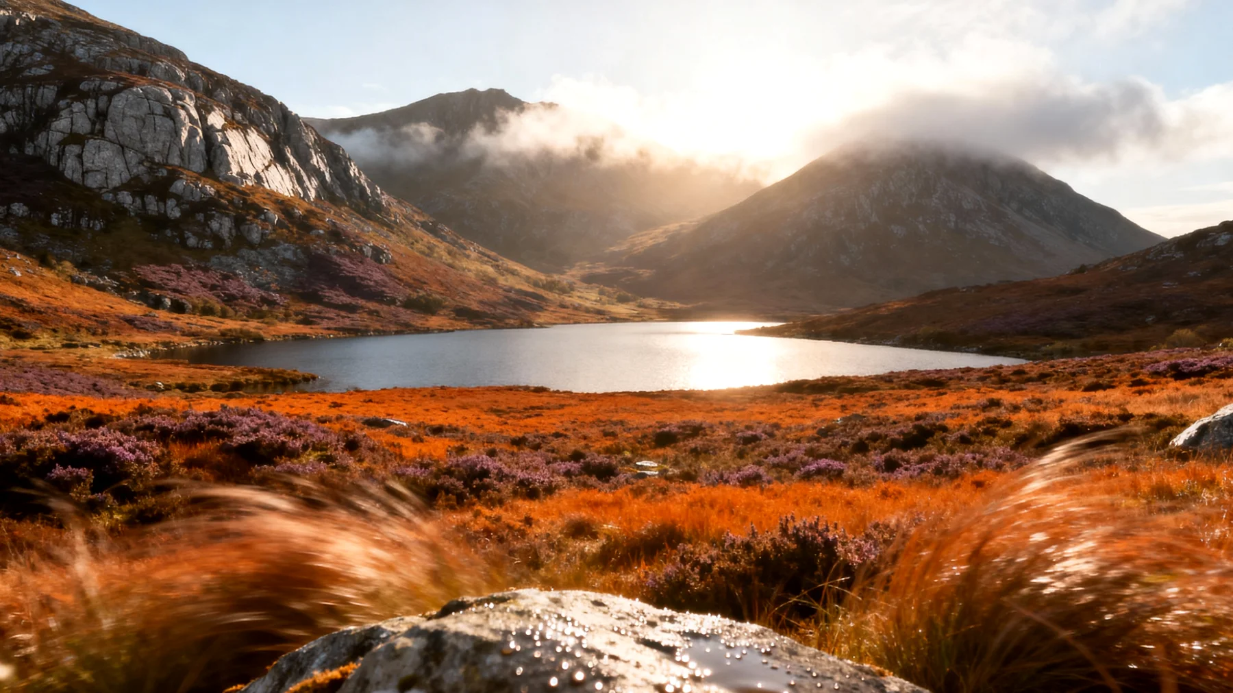 Connemara National Park"